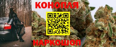 сатива Беслан