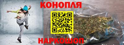 сатива Беслан