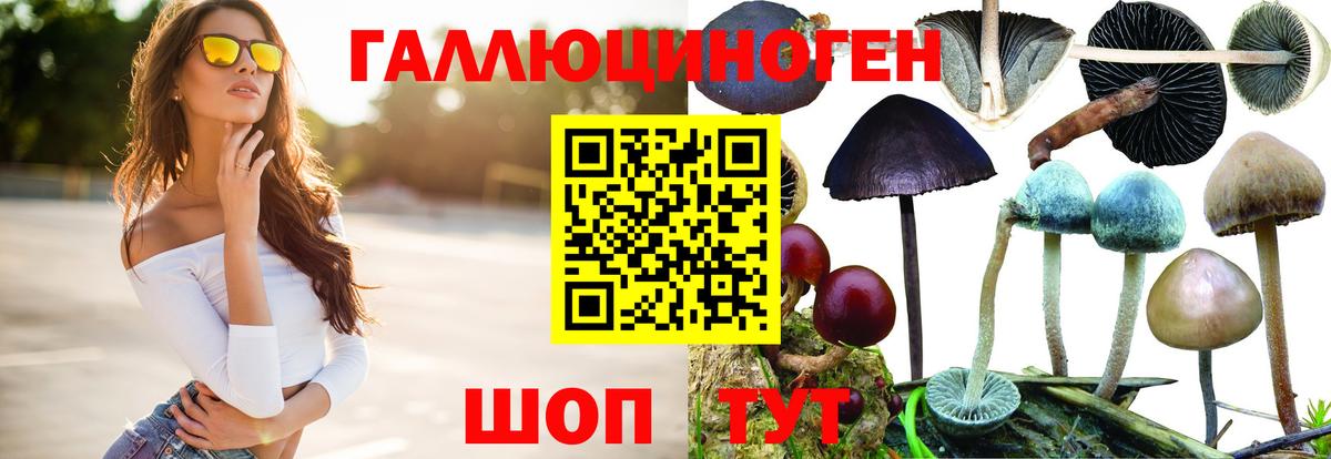 Черногорск  Псилоцибиновые грибы мухоморы  Вход с VPN 